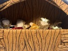 Bild 8 von 11