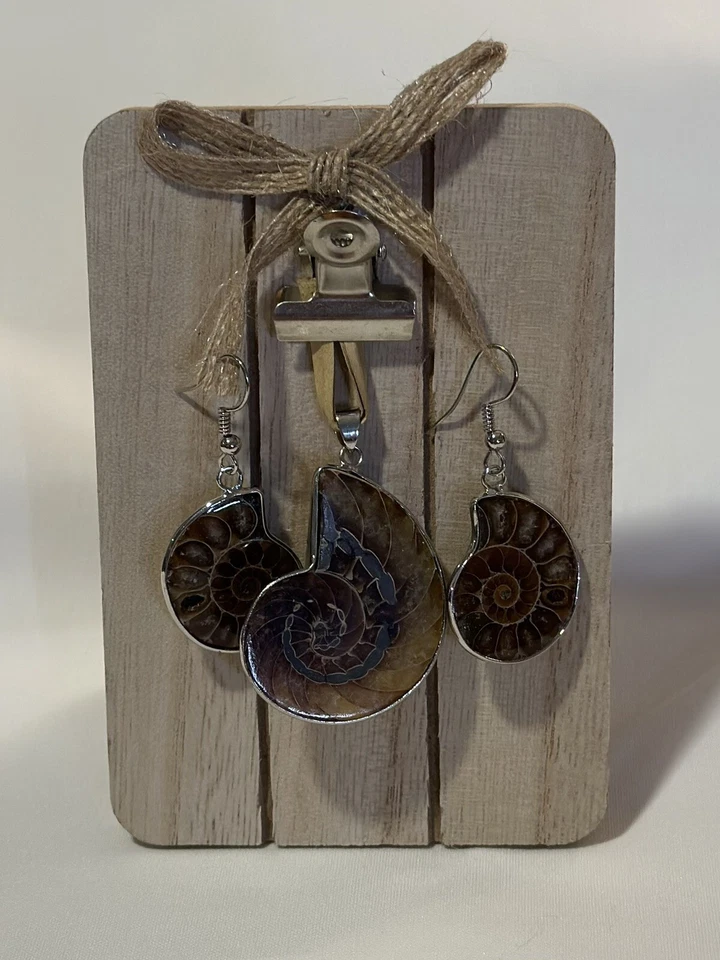 Набор посеребренных аммонитов - Изображение 4 из 4