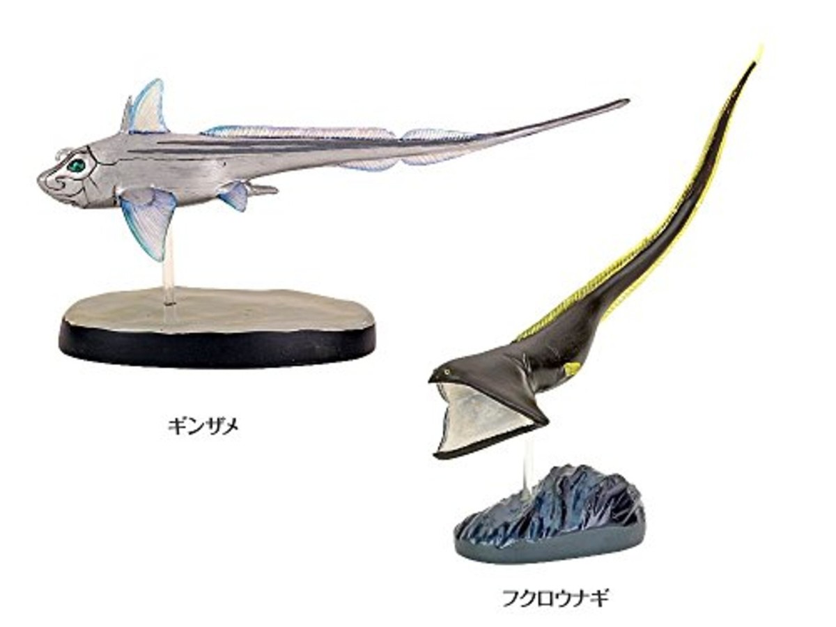Colorata 3D Visual Dictionary Real Figure Box Deep Sea Fish