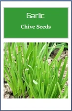 Garlic Chives Seeds: Fresh Heirloom, Non-GMO Garden Herb