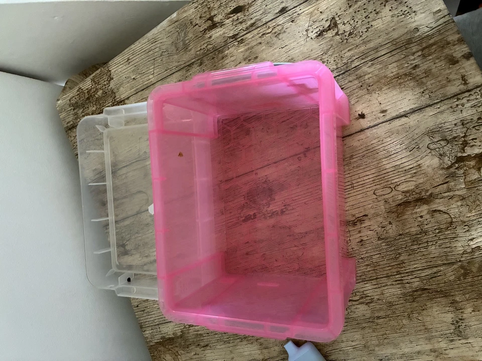 Really Useful 3L Plastic Storage Box With Lid 245x180x160mm pink - Image 3 of 4
