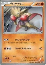 Pokemon Card XY Evil Willer / Pocket Monster Card Game Starter Pack PM20th