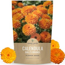 Large 4oz Packet of 14,000 Calendula Flower Seeds for Planting 147.68 per gallon