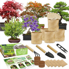 5 Bonsai Tree Kit Complete Plant Growing Tools, Indoor Gardening