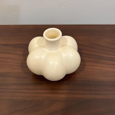 Sand + Fog Reed Diffuser in Cream Pumpkin
