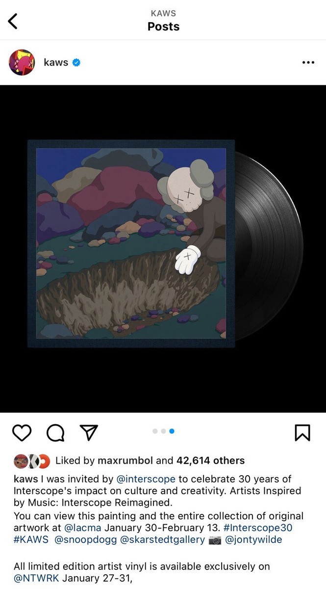 NTWRK Snoop Dogg DoggyStyle KAWS レコード 限定 Snoop Doggy Dogg DoggyStyle KAWS Gallery Picture LP VINYL