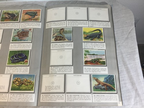 Wonders of the Animal Kingdom book- Howard A. Winter - 1959 VERY VERY NICE SHAPE - Foto 7 di 10