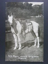 Will Rogers Favorite Roping Horse Soapsuds Real Photo Postcard RPPC 1930-50 Vtg
