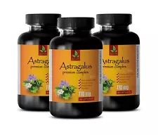 stress pills - ASTRAGALUS COMPLEX 770MG - astragalus bulk 3 Bottles