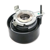 Skf Spannrolle, Zahnriemen U.A. FüR Polestar, Volvo