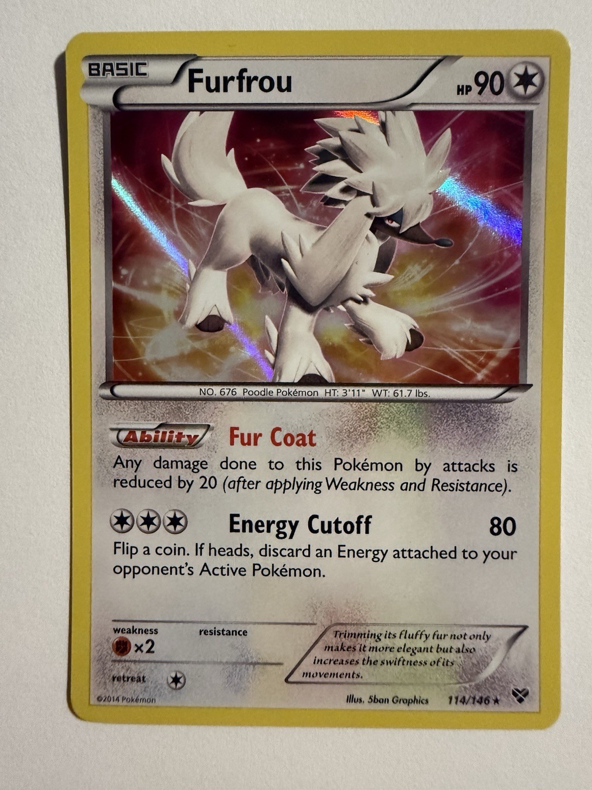 Pokemon - Furfrou #114/146 - XY Base Set Holo