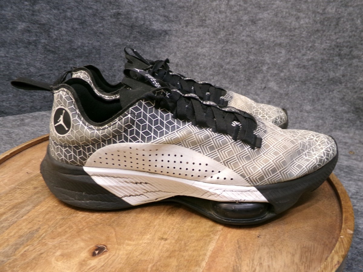 jordan air zoom renegade review