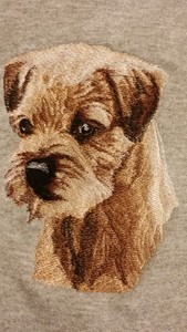 border terrier jacket