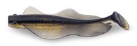 SäNger Iron Claw Wave Glider 7Cm GNT - Gummifisch FüR Barsch U. Zander
