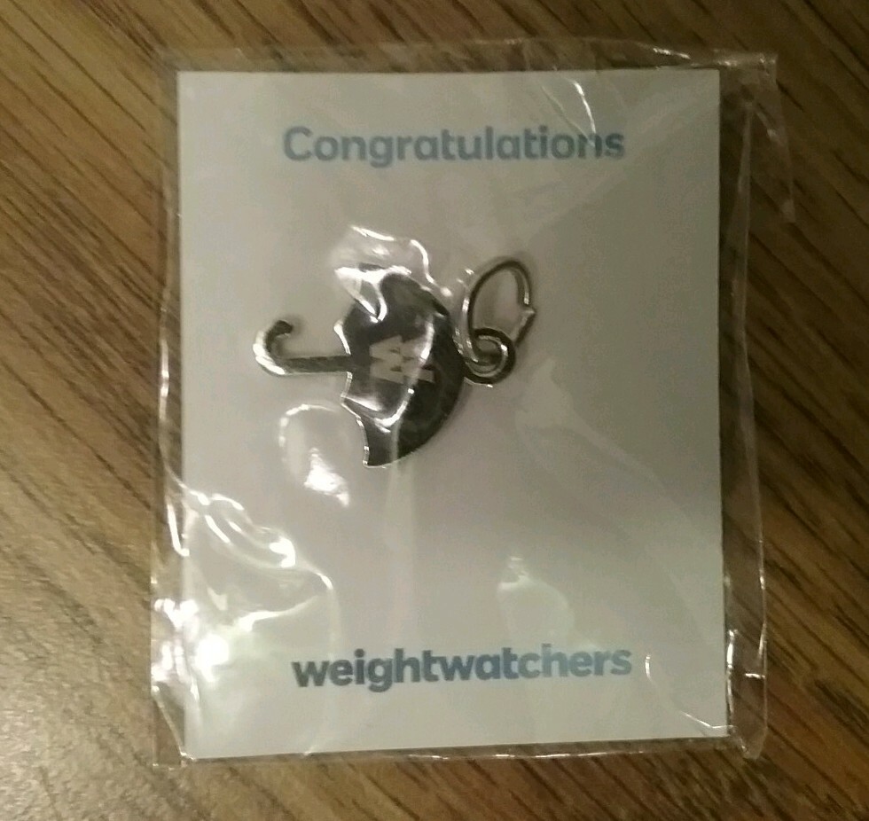 Weight Watchers Key Charms Ring Mixed Lot of 5 Promo Awards Sealed New