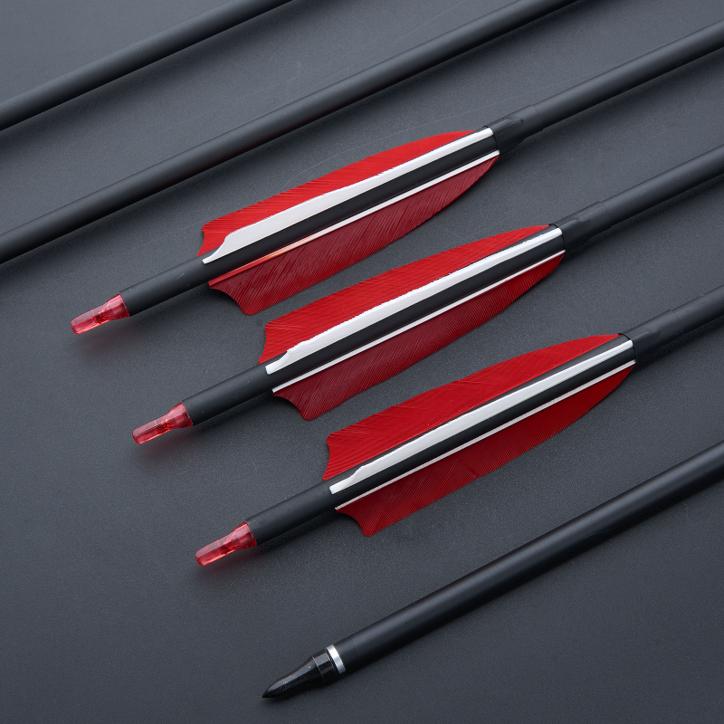 12x 31" Carbon Arrows 4" Turkey Feather SP500 for Compound/Recurve Bow
