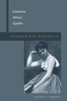 Experience Without Qualities by Elizabeth S. Goodstein PAPERBACK 9780804758604