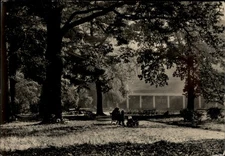 RPPC Kladruby u St?�bra Park vintage postcard t398