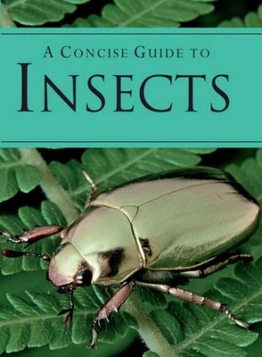 Concise Guide to Insects,Parragno
