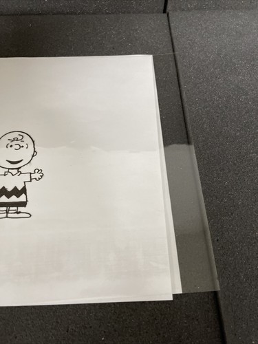 Peanuts Production Cel Charlie Brown *** read and watch video - Picture 6 of 14