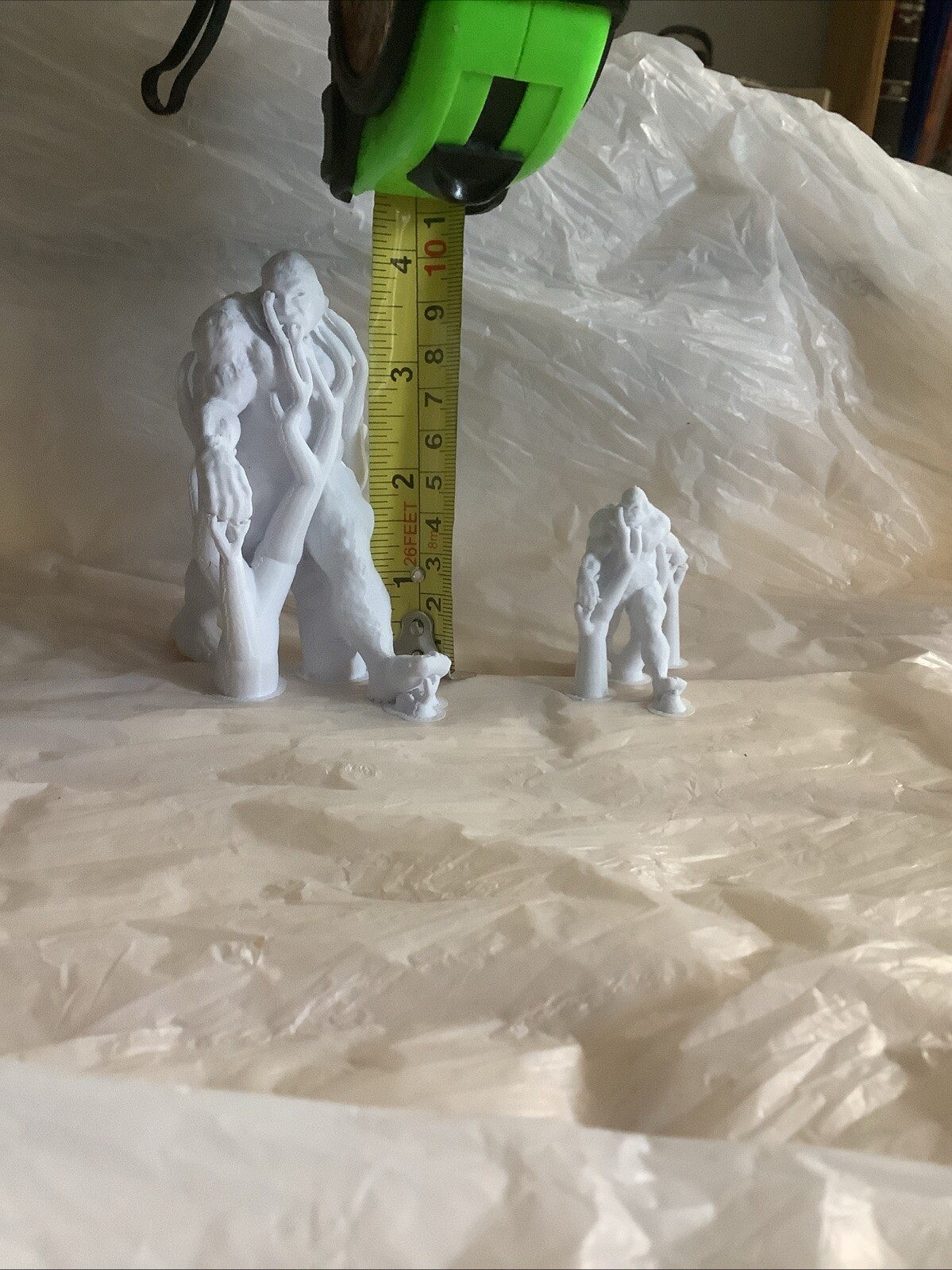 Picture 5 of 12