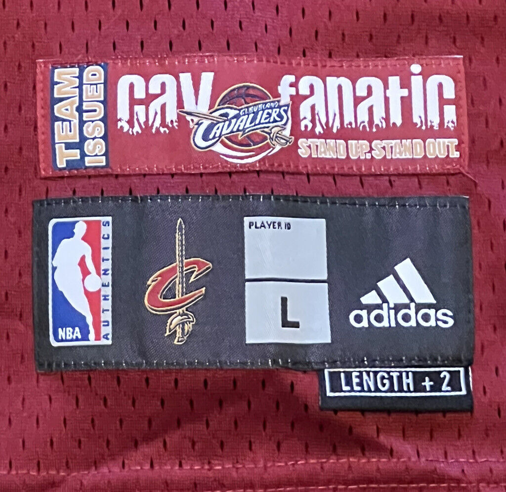 New LEBRON JAMES CLEVELAND CAValiers HWC FANATIC JERSEY