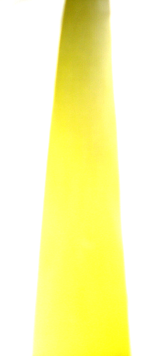 Bild 5 von 5