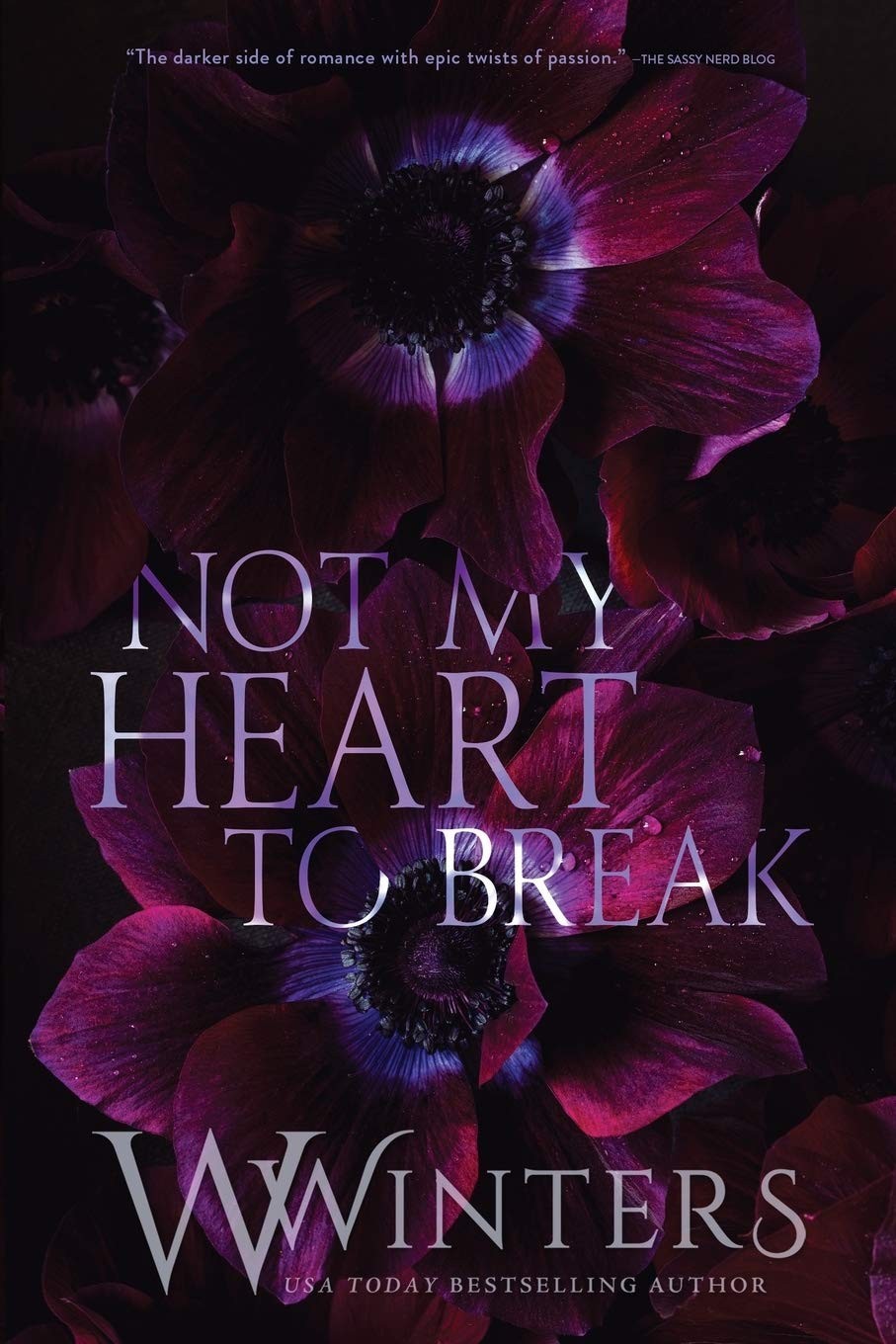 Not My Heart to Break Paperback y046