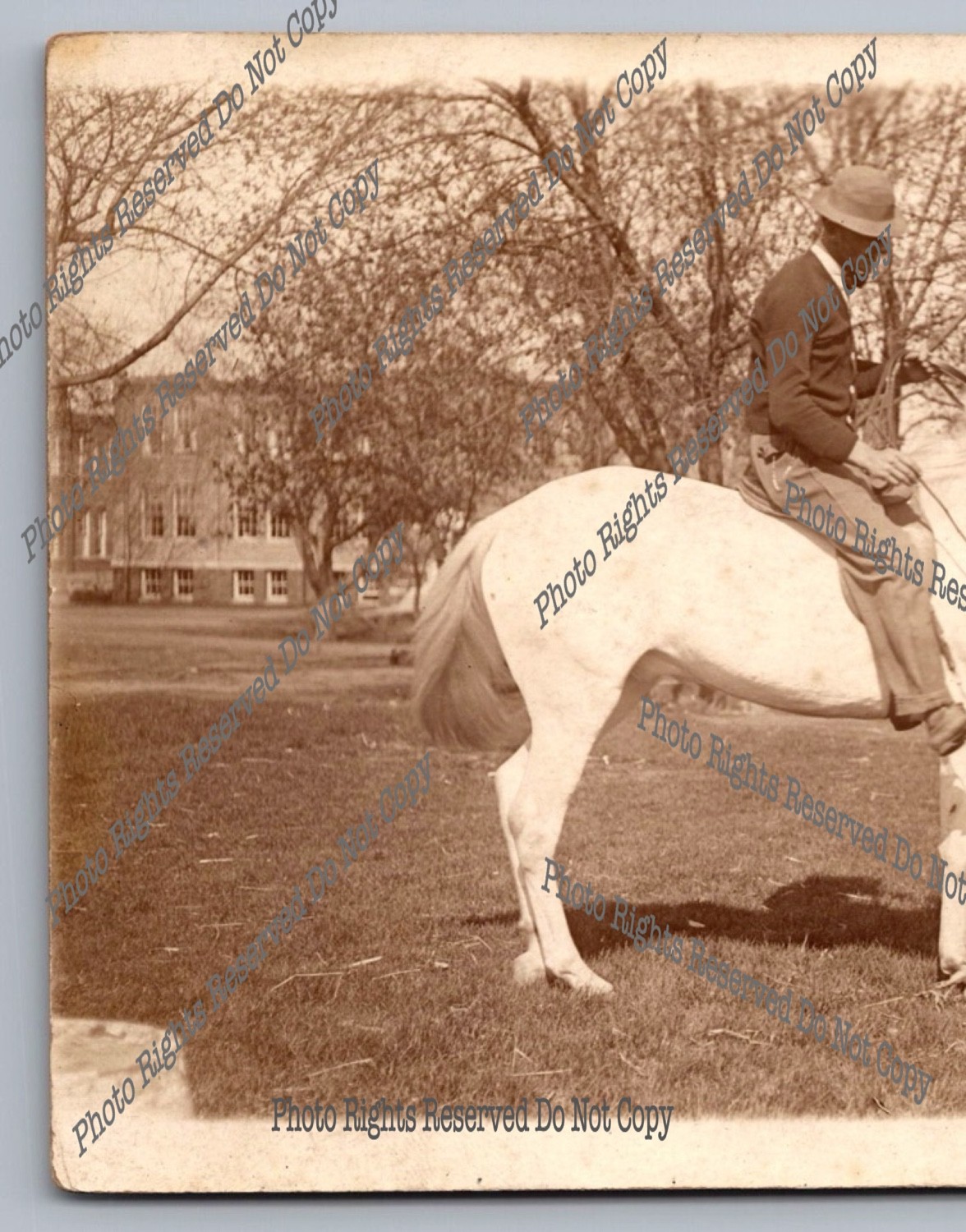 Antique RPPC man riding horse in park Real Photo Postcard 