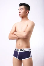 Men's High Quality Quick Dry Underwear Comfortable Fashion Antibacterial Briefs