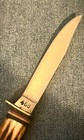 Vintage Edge Brand Soligen Germany 468 Stag fixed Blade Sheath Knife — photo 4