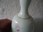 Picture 12 of 12