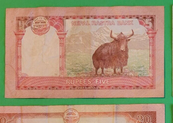 NEPAL 5 RUPEE CIRCULATED BANKNOTE,  Combined Shipping Given.