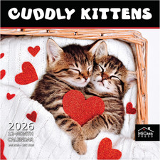 Cuddly Kittens 2026 Wall Calendar 12 Month  12" X 24" Open  Thick  Sturdy Pap