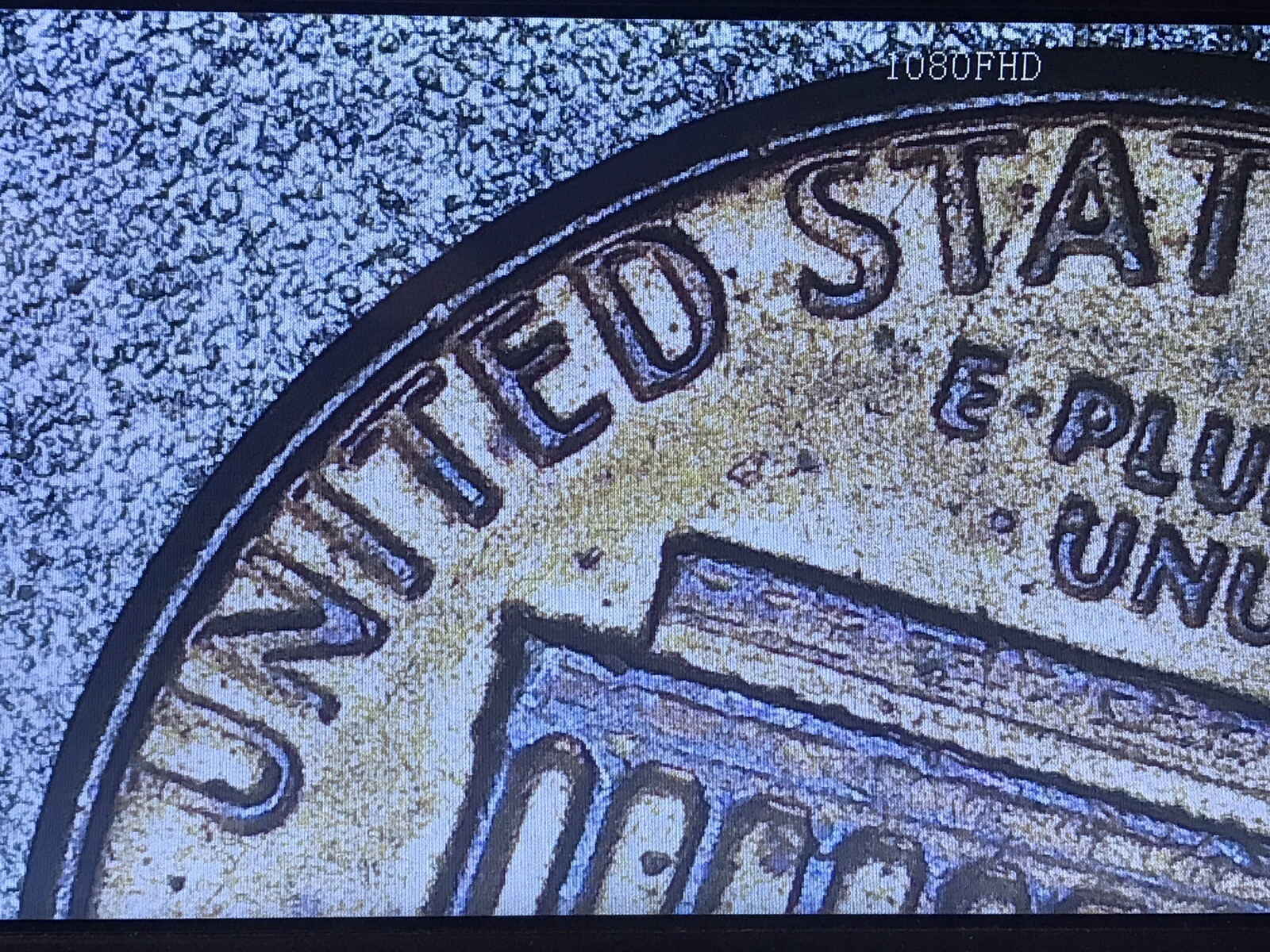 Picture 8 of 12
