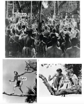 TARZAN FINDS A SON MOVIE PHOTO LOT (3) 1939 E R BURROUGHS WEISSMULLER O'SULLIVAN