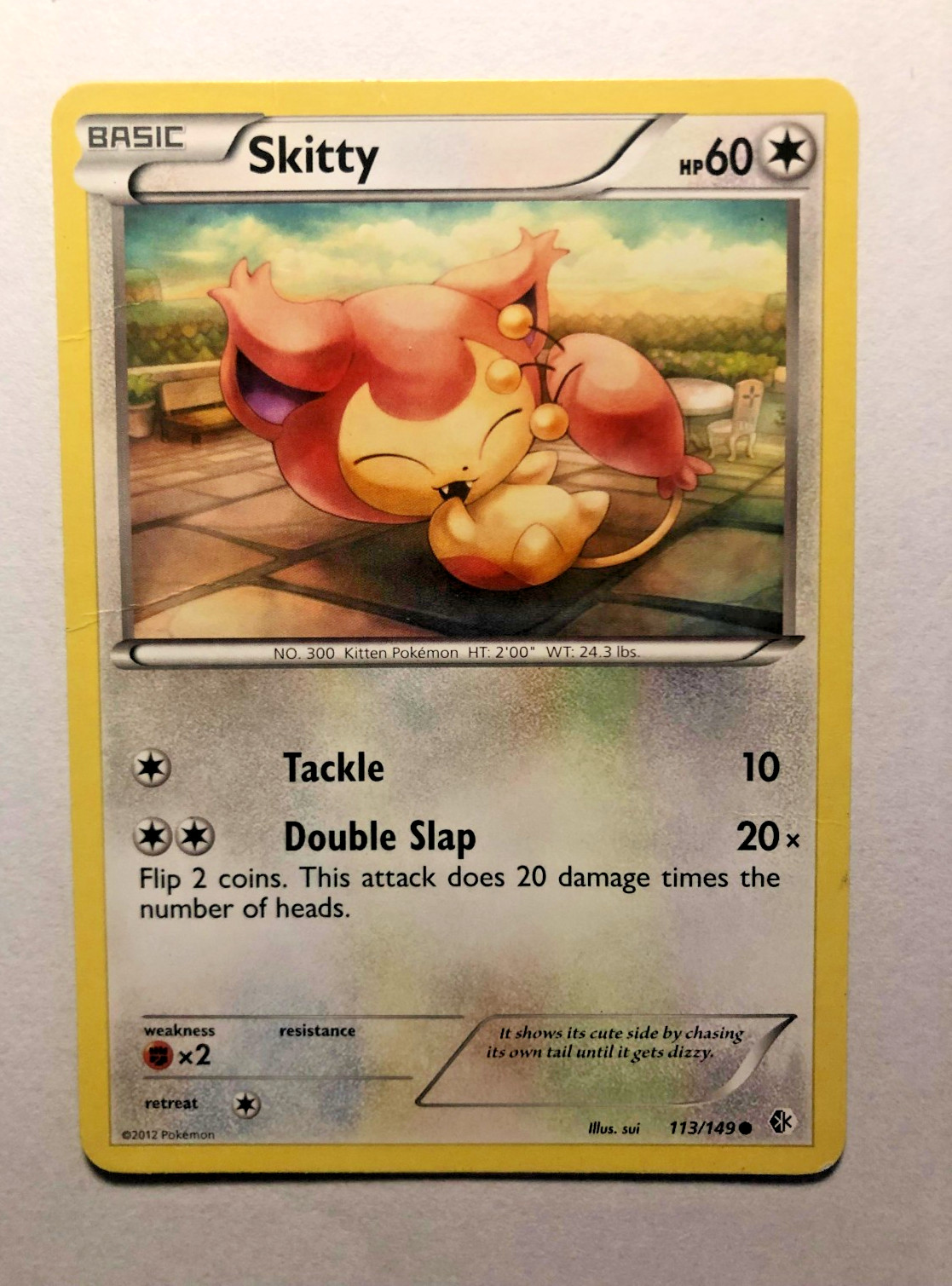 Skitty 113/149- Boundaries Crossed- Regular Common- LP