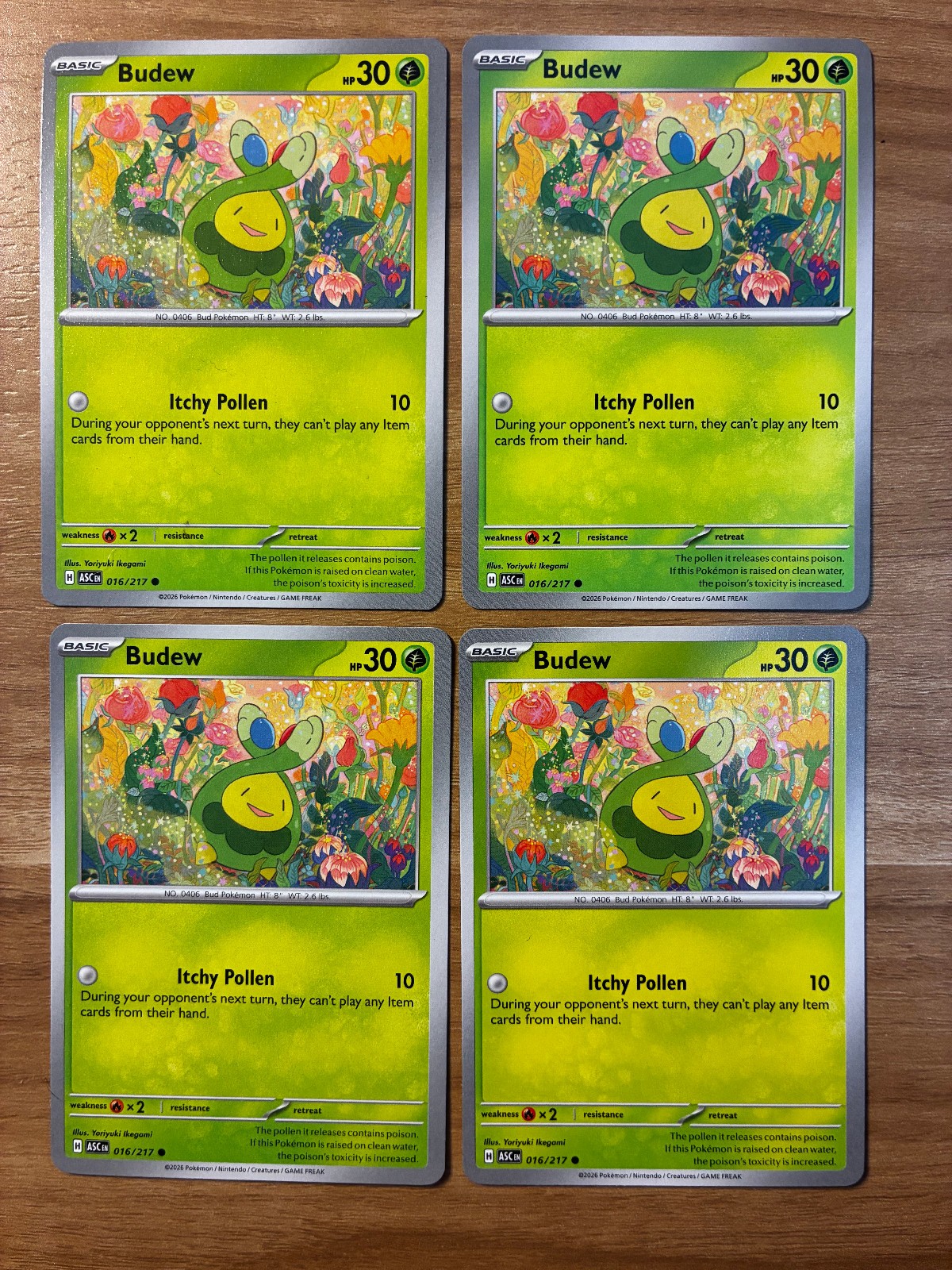 4x Budew (Playset) - Ascended Heroes 16 - Non-Holo - Pokemon