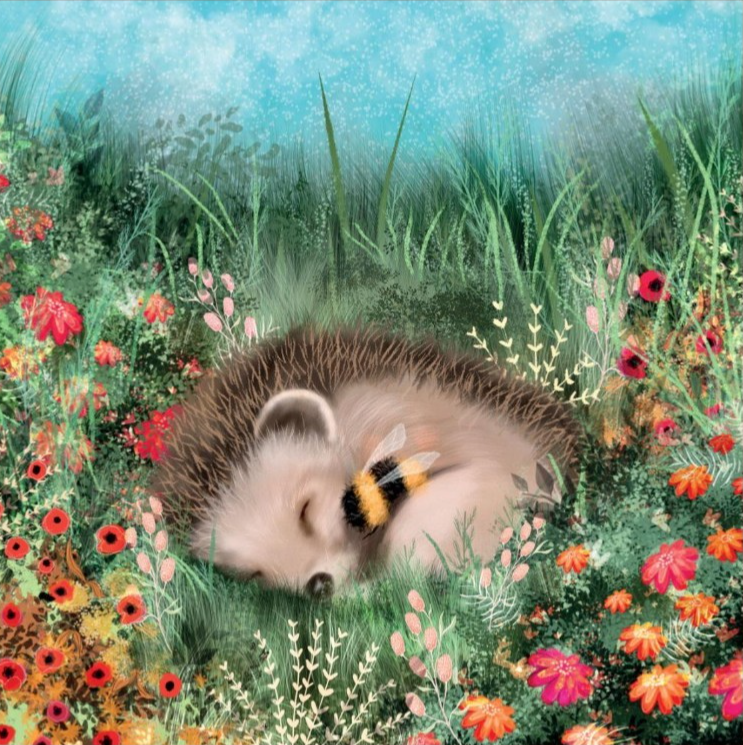 Hedgehog Themed Greeting Card - Hedgehog Cuddles - Sale For Our Animal Charity