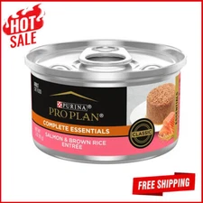 Wet Cat Food Salmon Brown Rice Pet Supplies Skin Coat Care 3 Oz Cans 24 Pack US