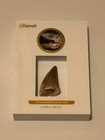 2023 Super Break Keepsake Edition Tyrannosaurus Rex Tooth Fossil Relic Card