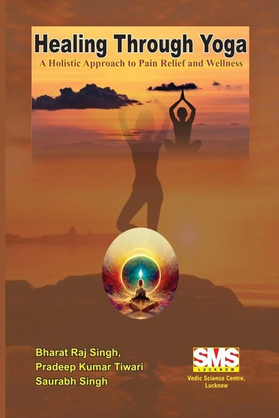 Healing Through Yoga A Holistic Approach To Pain Relief And Wellness Taschenbuch-image