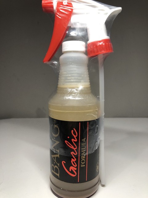 bang fish attractant