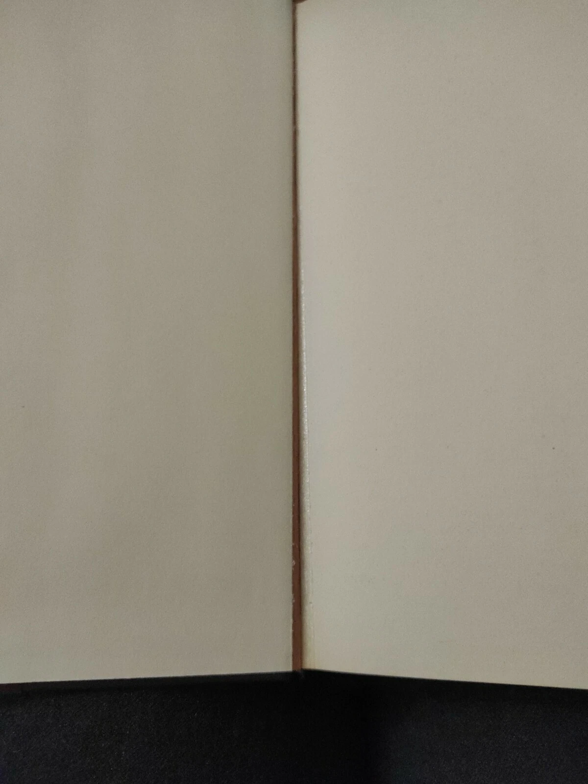 Foto 5 di 6