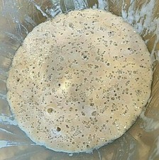 SOURDOUGH STARTER yeast FRONTIER VERY STRONG/ACTIVE extra sour F