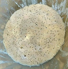SOURDOUGH STARTER yeast FRONTIER  VERY STRONG/ACTIVE extra sour (F) 