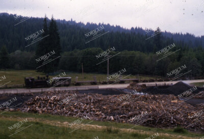 KB Dia / slide CFR 764.455 Kohlerei bei Cumpăna, 06/1986 (D100)