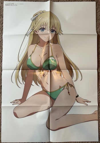2 Sided Anime Poster: Classroom of the Elite, Classroom of a Black Cat & A Witch