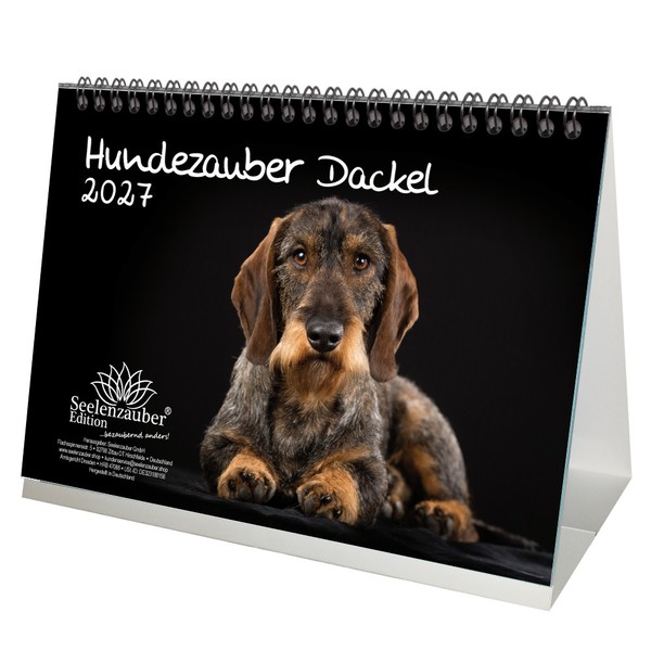 Hundezauber Dackel Din A5 Tischkalender FüR 2027 Welpen Und Hunde - Seelenzauber-image