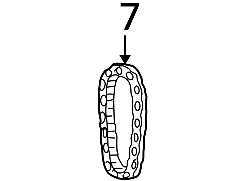 1993-1999 OLDSMOBILE CHEVROLET SKYLARK CUTLASS SUPREME CHAIN ASM TMG 10166352 - Image 3 of 3